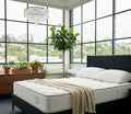 NZ Made Premium Mattress - Queen